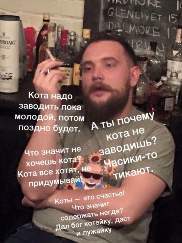 21 преимущество жизни с котом