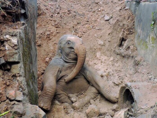 Подборка идиотских фотографий часть 3