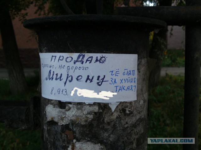 Весёлые картинки