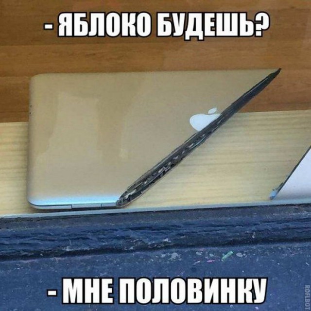 Подборка безудержного веселья