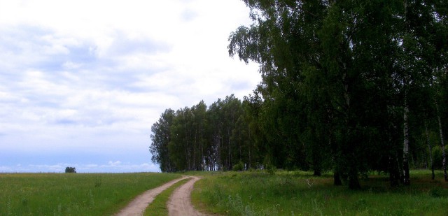 Хочу в деревню, к бабушке, как в детстве...