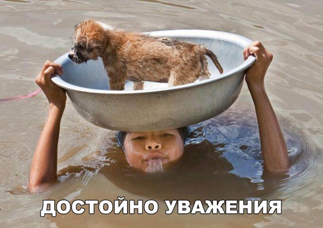 184 картинки для поднятия настроения!