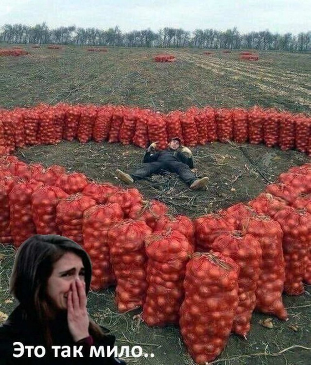 150 картинки для поднятия настроения!