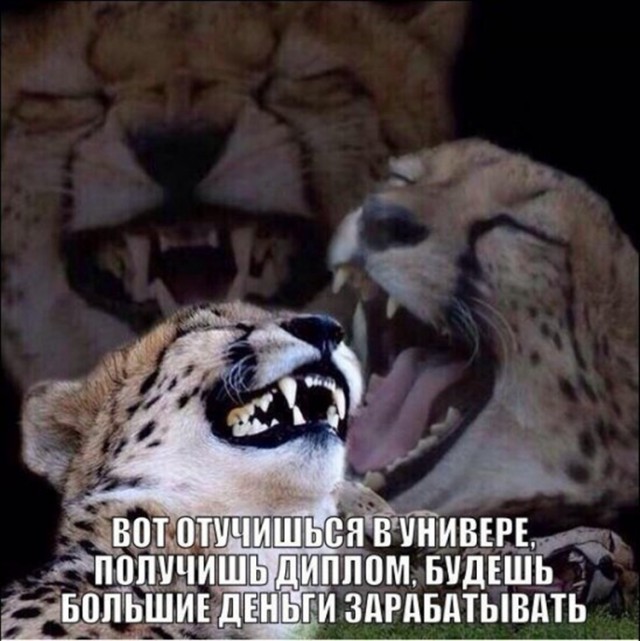 Подборка интересных и веселых картинок