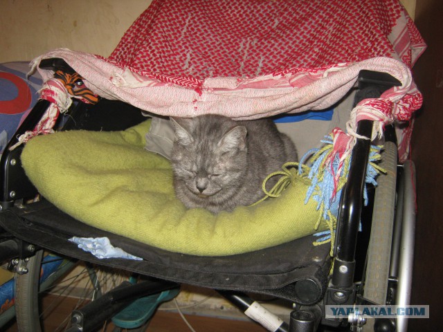 Отчаянные романтики, которые живут среди нас