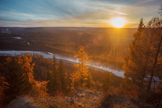 Осенняя тайга