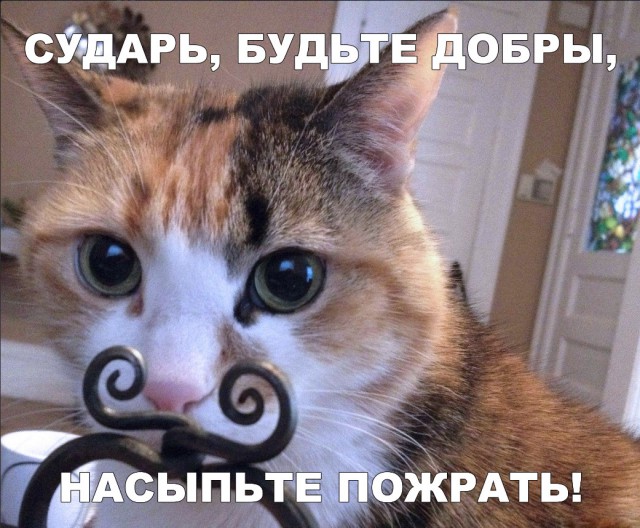 Немного милоты