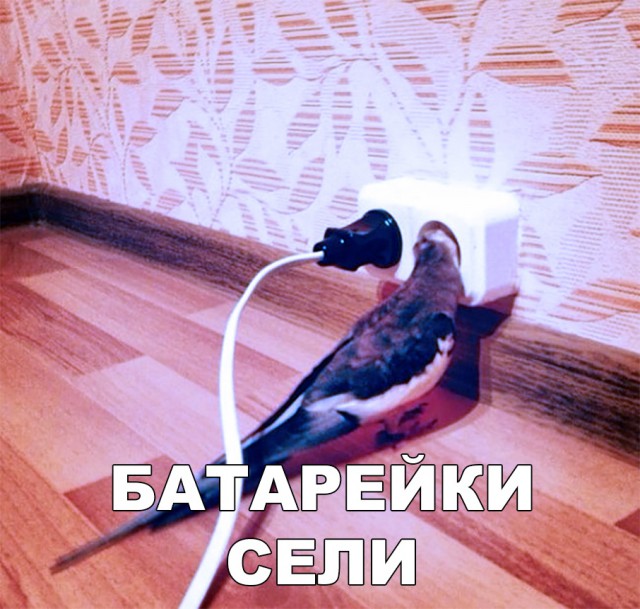Нестандартный юмор