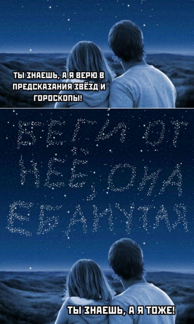 13368579.jpg