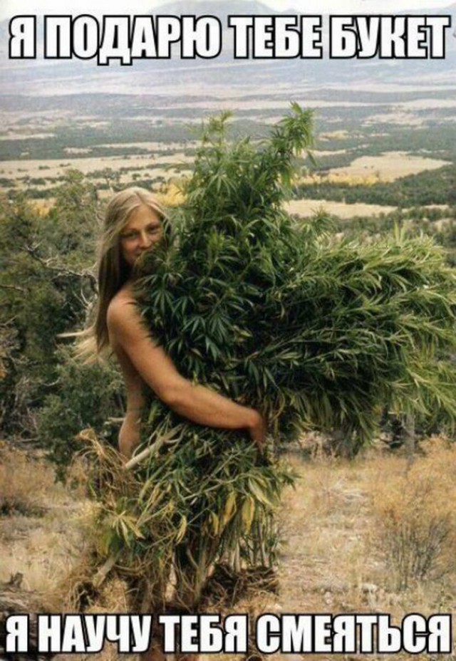 Применим физику в постели или белка и стрелка. Картинки