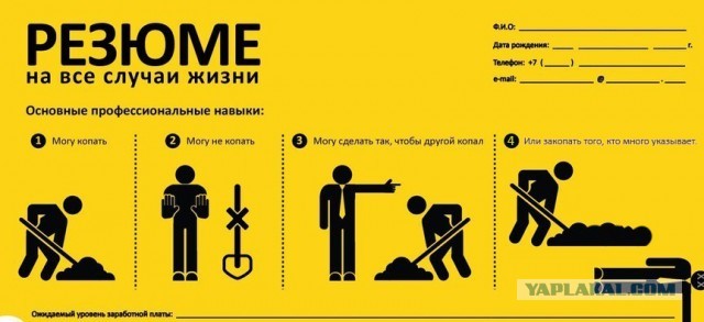 Профессиональное резюме