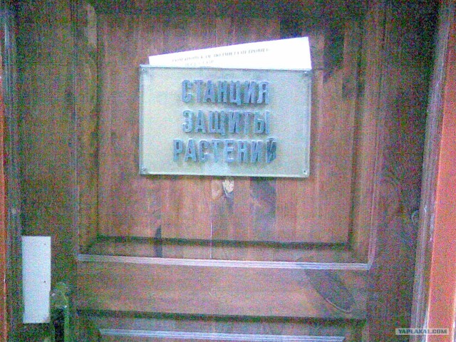 Сфотографируй свои таблички в офисе!