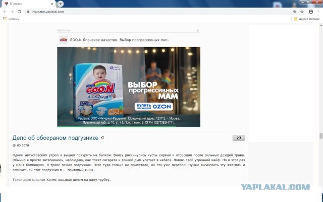 Дело об обосраном подгузнике