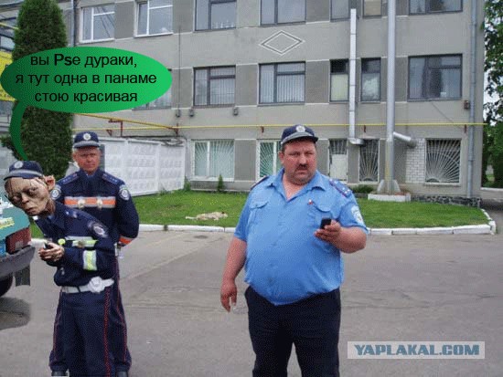 Фотожаба:На связи