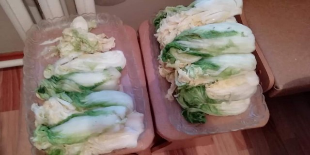 Любите ли вы Кимчи как люблю ее я?
