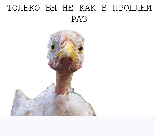 Фотожаба: Цыпа