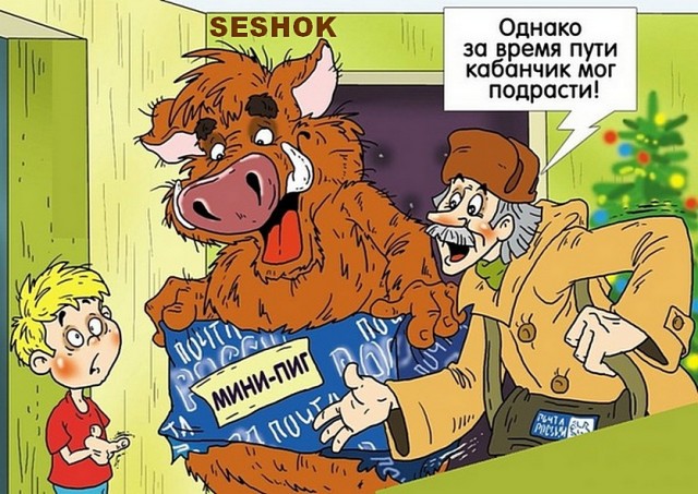 ЯПокатуры от tubdoc62