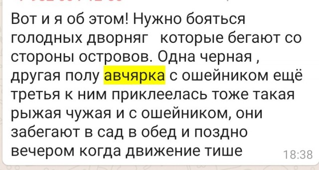 Мои глаза....