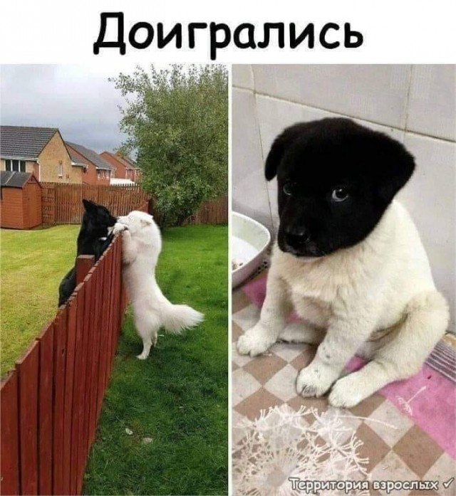 Бредзона 08.02.2021