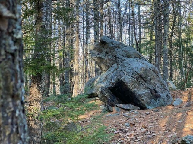 Случаи парейдолии. Новые фото