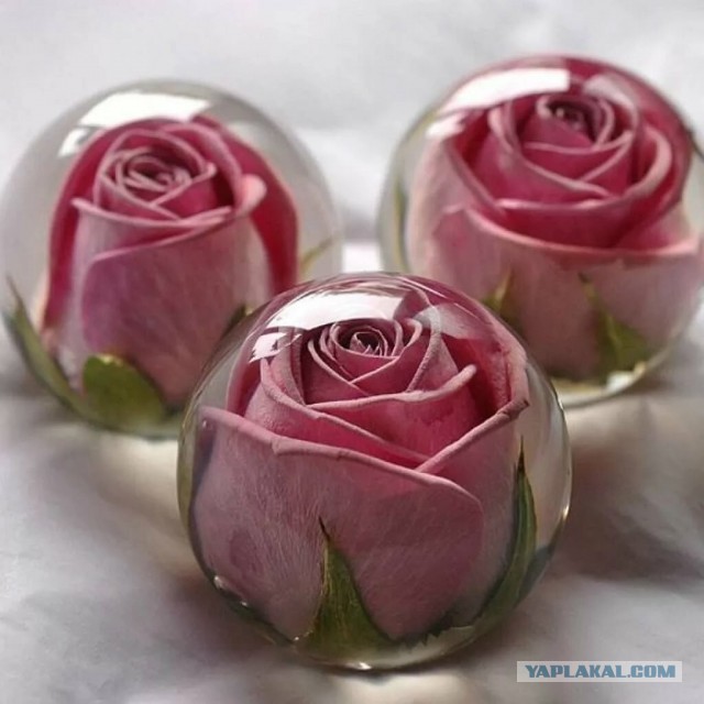 "30 лет назад мой дед закатал в эпоксидку тефтелю"