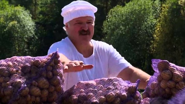 В Ростовской области выстроилась многокилометровая очередь за картошкой по 35 рублей
