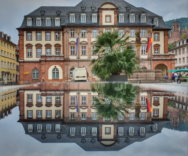 Моя мобильная фотография