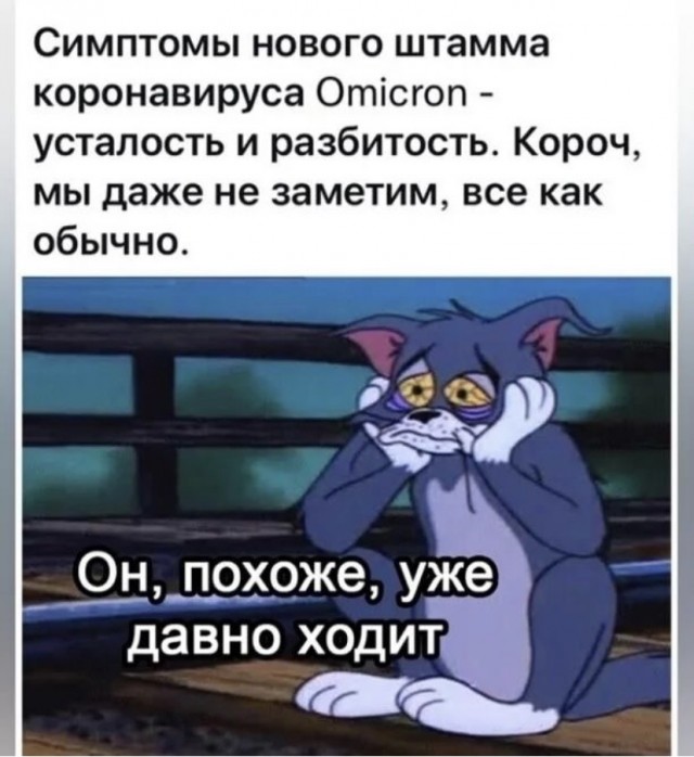 Картинки и мемы для настроения