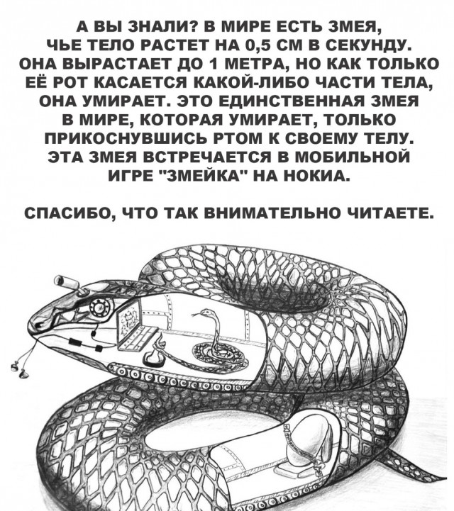 Так себе картинки 25.12.21