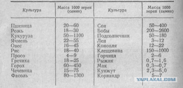 Так себе картинки 26.12.21