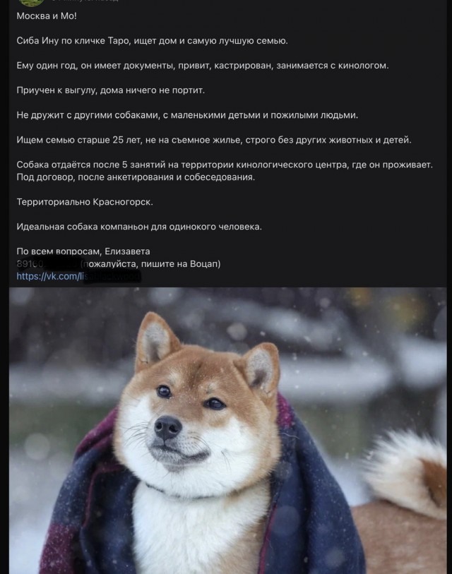 Отец московского школьника избил и выкинул на улицу собаку, укусившую его сына за лицо