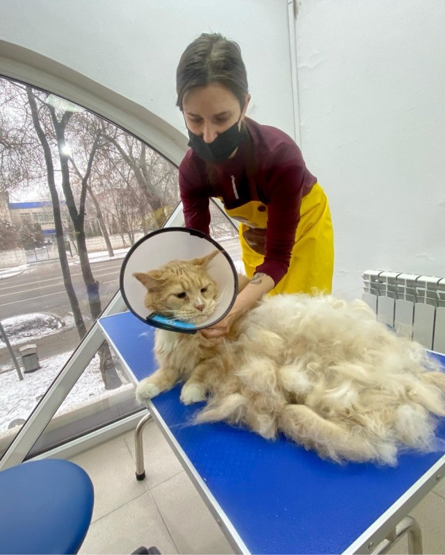 Котовторниковское
