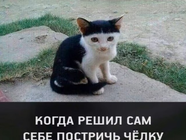 Так себе картинки 27.02.22