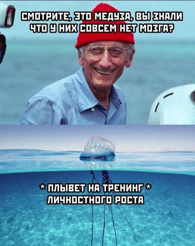 Очередной весёлый полтишок