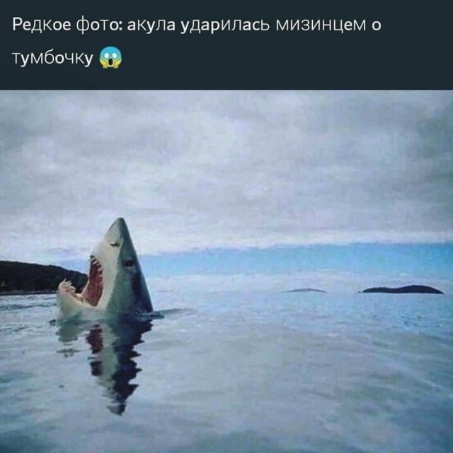 Немного забавных картинок