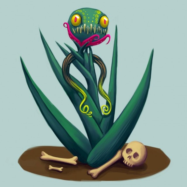 7 самых опасных растений мира