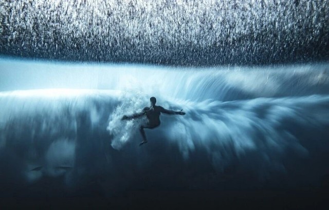 Победители фотоконкурса Ocean Photographer of the Year 2022