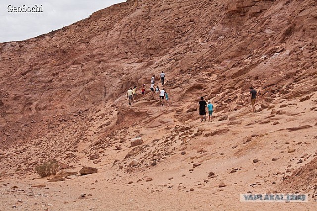Синайские приключения. Шарм-эш-Шейх и окресности