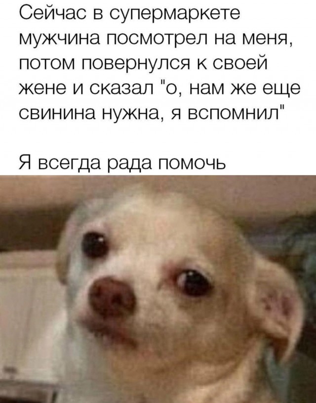 Баянистых и не очень картинок