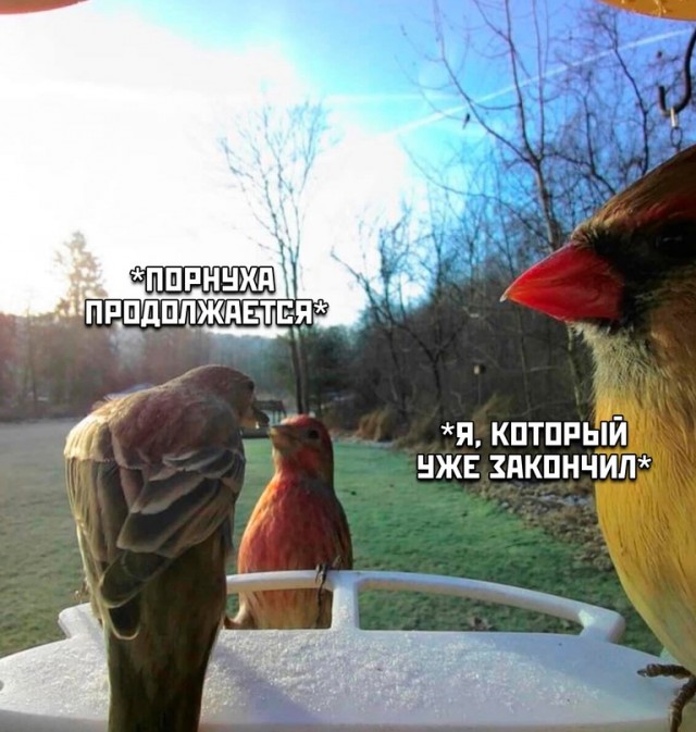 Картинки и мемы, всем хороших выходных