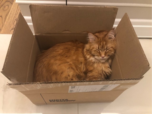 К котовторнику