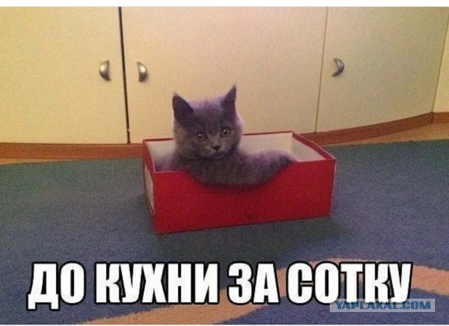 Победная поступь идиотизма по планете – том 10