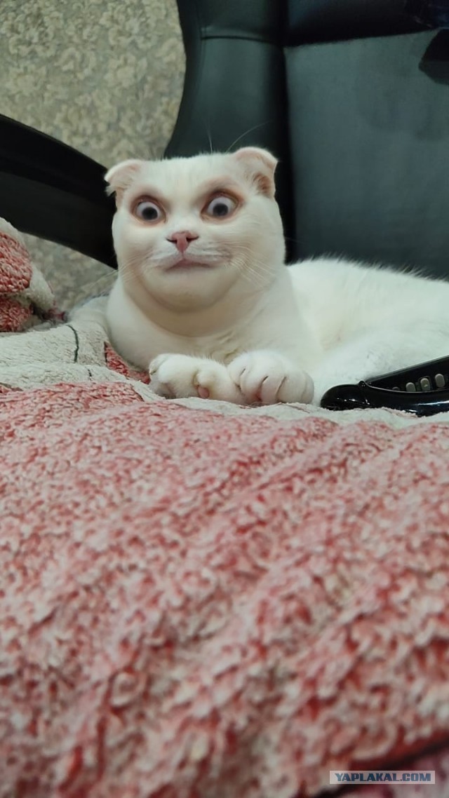 Если и смотреть это, то только так