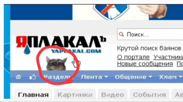 Если кто не знал, вот откуда идея неуловимого кота с главной ЯПа