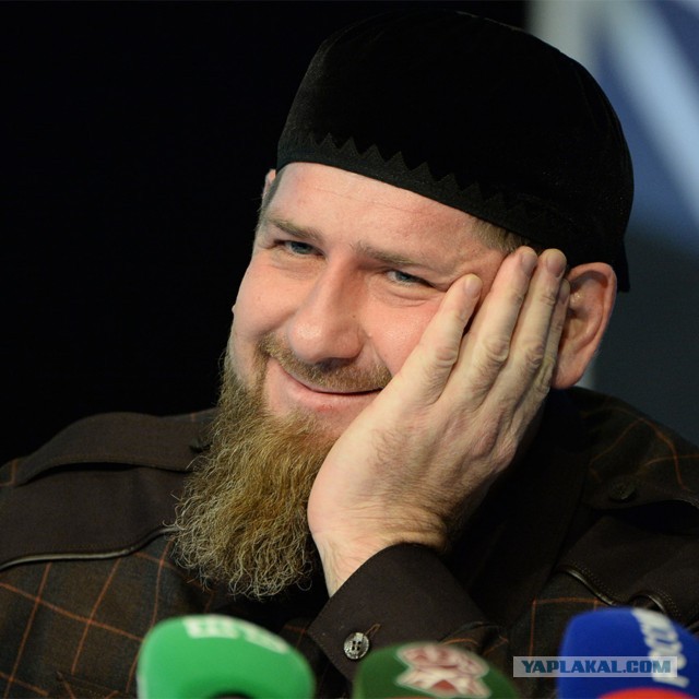 В Ставропольском крае кавказцы, увидев зеленое насаждение в виде женщины, залезли на него и стали имитировать половой акт