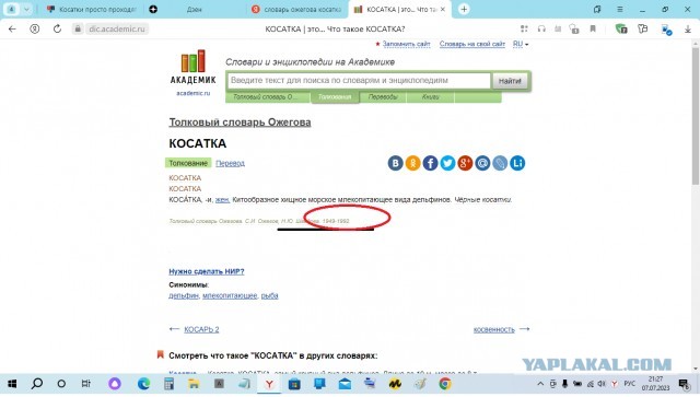 Косатки просто проходят мимо двух плавающих детей