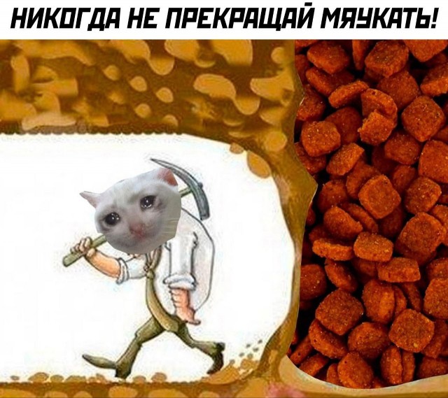 Так себе картинки 02.11.23