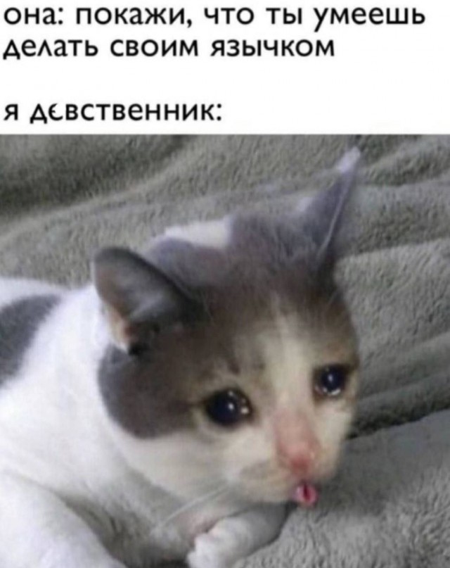 Анекдоты и шутЯПки с картинками