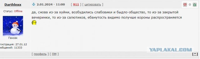 Первая жертва салютов в России: мужчина погиб из-за залетевшего в квартиру фейерверка