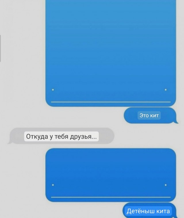 Всего понемногу. От 02.04.24